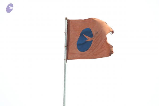 20140901 Photo 1137 1pMhgvxxCGm0 vt 4CswB9NUnxY9IIOpT.JPG