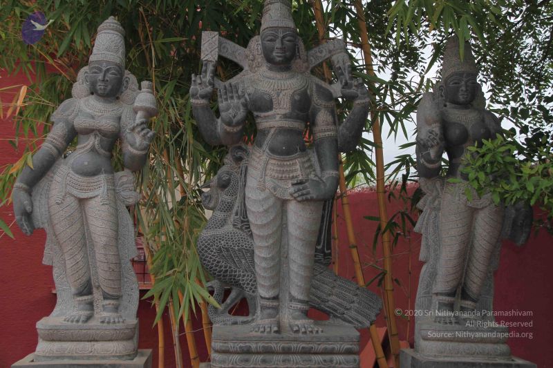 File:20140902 Photo 1004 1huqTh9Q3y A6OYKDMgZLcXxbEtMmw4Tk.JPG