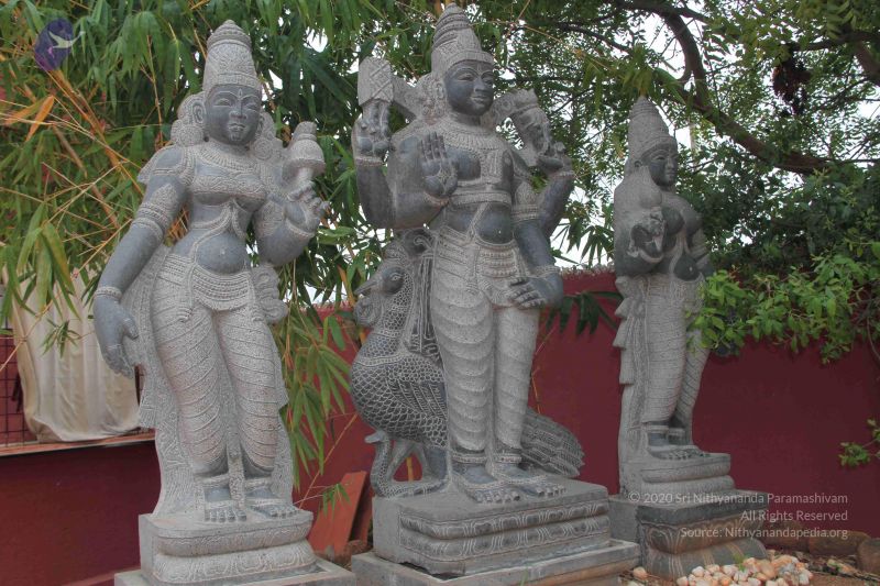 File:20140902 Photo 1006 1D7vMFtkbh5F3y8T86PvNJmh8Fx7E1lMA.JPG