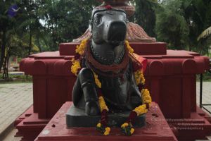 20140902 Photo 1014 1ELFatWCnTIJ7SBT5Ec7BTh52OOrkpR00.JPG