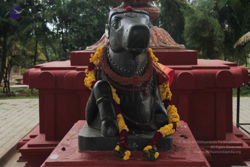 File:20140902 Photo 1014 1ELFatWCnTIJ7SBT5Ec7BTh52OOrkpR00.JPG