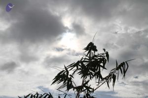 20140902 Photo 1030 1568OSi2tVQHOQIGEOaTdV8eNs86-MN0n.JPG