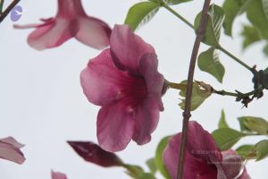 20140902 Photo 1036 1JgLjwz4tIZUNDrmgJ o7-E 7nYyBkN9E.JPG