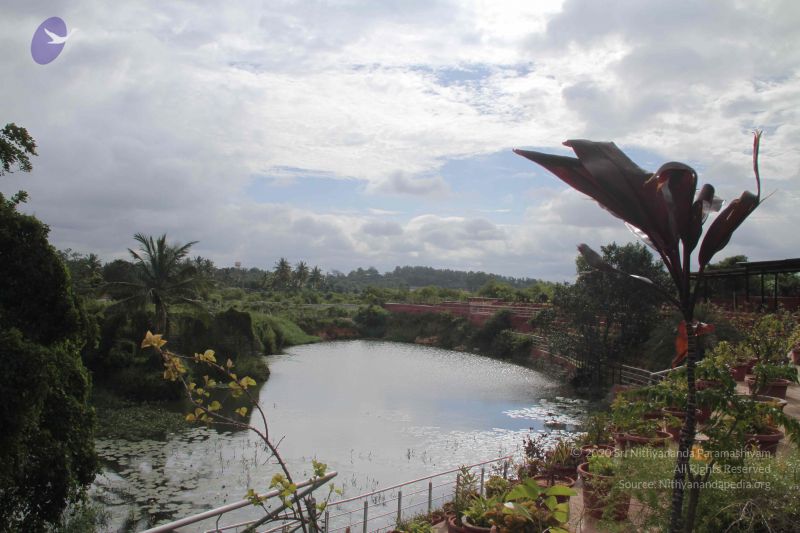 File:20140902 Photo 1037 1lT8887y5gv4I6BVpMpz ltwkgoCADFIO.JPG