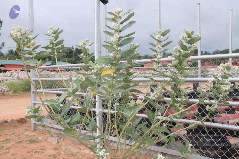 File:20140902 Photo 1039 1T4fqgzDFoAiU2oxaU-S7xWfX8o-lImJg.JPG