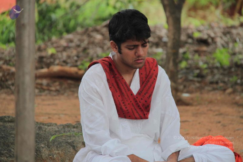 File:20140902 Photo 1055 1Arzbrv4ouP3tSFSY6-n-BJ-Ddat-nA-Q.JPG