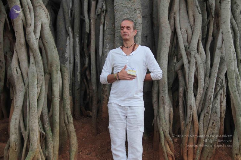 File:20140902 Photo 1057 1aBL heUPUVkvLQ3uUiJ8iiyAIFd6mgsX.JPG