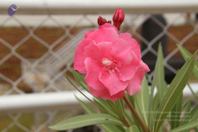 20140904 Photo 1020 1lDA3F9jY6dxr5Z8 5UJJIcBpka468ZLJ.JPG