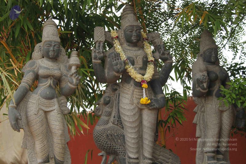 File:20140904 Photo 1036 1rPrwjwAIvRCuTNlSrPCScOmN5L2e3EBA.JPG