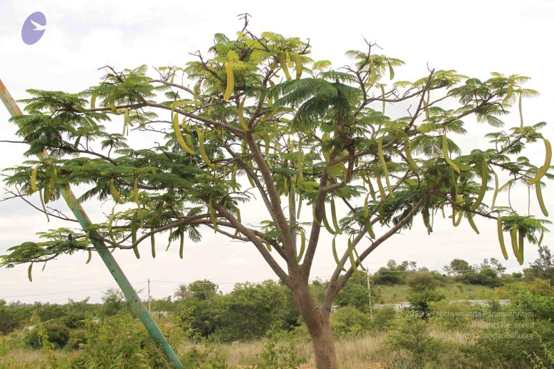 File:20140904 Photo 1038 1vORg0FnN2p1mQry0Hf8gr 7ITz1RG vM.JPG