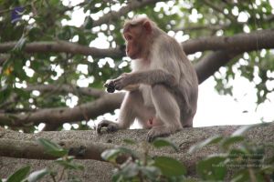 20140904 Photo 1059 1ruZBeU6PclBTbwSwqhgRMDEeN1wQyRtM.JPG