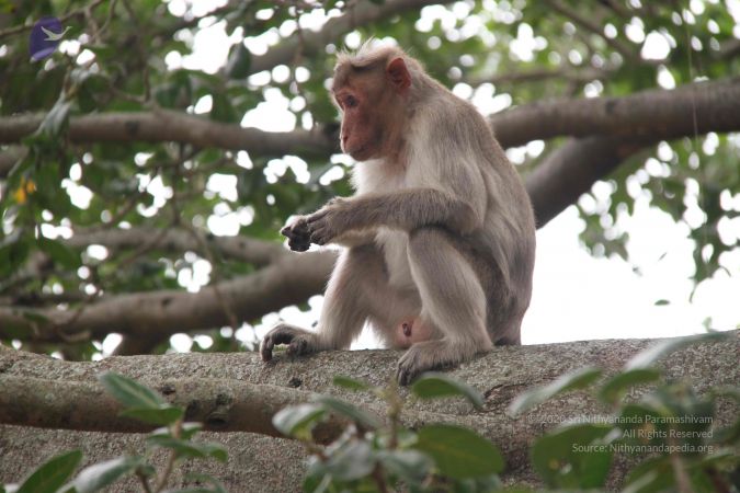 20140904 Photo 1059 1ruZBeU6PclBTbwSwqhgRMDEeN1wQyRtM.JPG