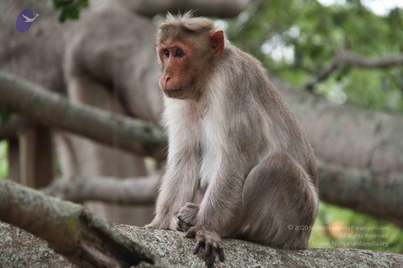 File:20140904 Photo 1060 1spOsLC8ZeIVC12WN99m3ND6XdsD2HpER.JPG