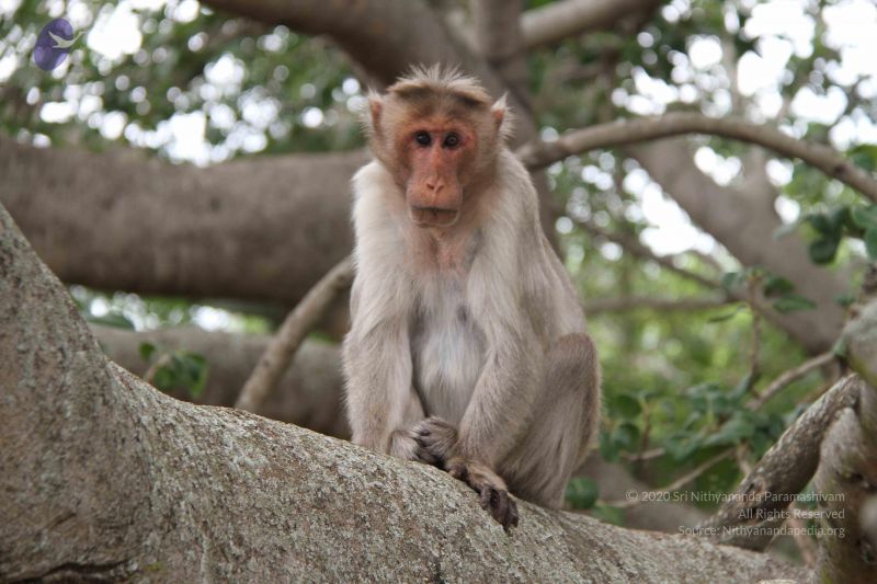 File:20140904 Photo 1061 15R5Gkj 15XZhsEwr5V GbBybLkCoKqmf.JPG