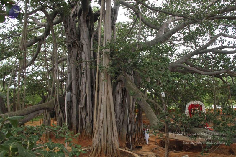 File:20140904 Photo 1062 1DjZJRFWOjXZpgVRX213-CmmuNlaLRuiO.JPG