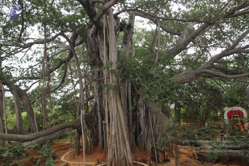 File:20140904 Photo 1063 1vyC3yw-wkzGBKFAnsT6nDyCyUfpRqH45.JPG