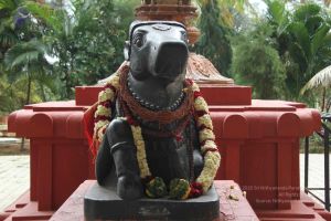 20140905 Photo 1003 1d4Kfda8yRZisXKw0HfoMNj3GfBm7D7jN.JPG