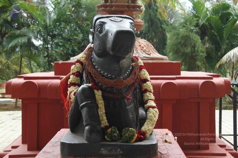 File:20140905 Photo 1003 1d4Kfda8yRZisXKw0HfoMNj3GfBm7D7jN.JPG