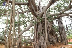 20140905 Photo 1011 1IDg8vNrYg qz07KO6QeP8q8aLmdn8P7T.JPG