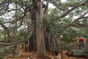 20140905 Photo 1013 1SMzsNUvUWg73N7CvUqh1LvfvU4OeyhqL.JPG