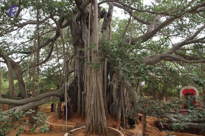 File:20140905 Photo 1013 1SMzsNUvUWg73N7CvUqh1LvfvU4OeyhqL.JPG