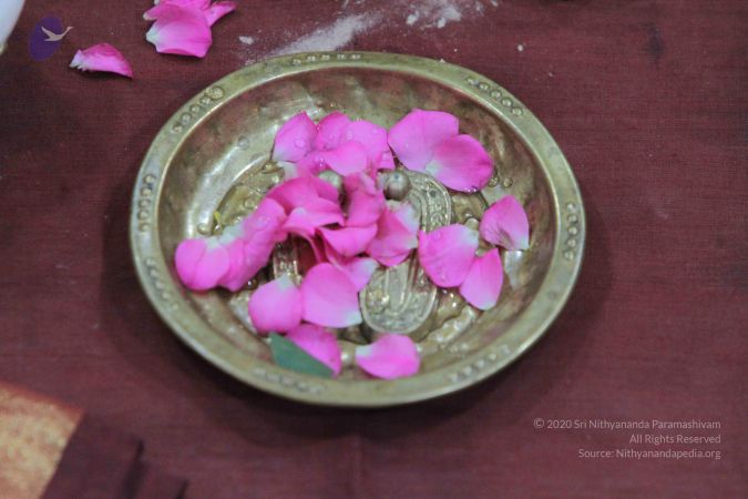 20140905 Photo 1015 1bqePR7WR85ZBLaMYjoQaoiQ5uPafe1hN.JPG