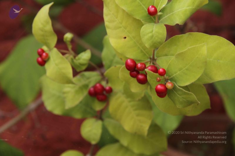 File:20140905 Photo 1150 1U3FXqajF2ftFdd-beLn3MUx8JcD473fo.JPG