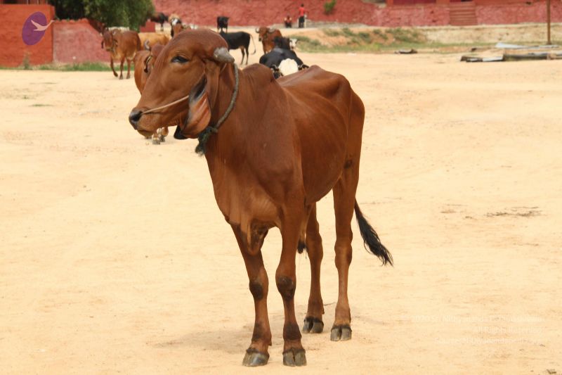 File:20140905 Photo 1165 19lInWljORud3qhC84Z3AzUjQwZPnEUrL.JPG