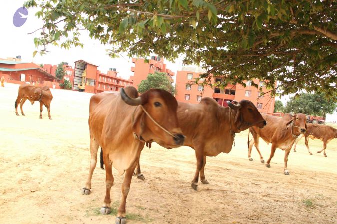 20140905 Photo 1166 11Gy eEL3Uc9KzMSCkqVGG6utoLRQgMx9.JPG