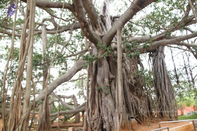 20140905 Photo 1174 1 oPdGHXEq3IDljia7dQJIRXYeT2h7LYS.JPG