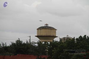 20140906 Photo 1092 1ed9PMIrHM7orjQfJP4P4SFTR53etBBmr.JPG