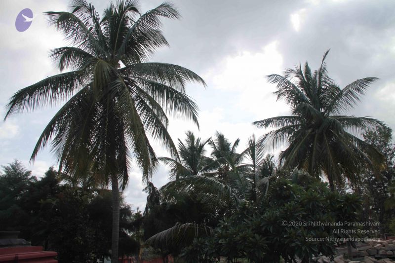 File:20140906 Photo 1146 1cQ0E4LafIx3cbzTYHOoUtIsRF-uAXJtT.JPG