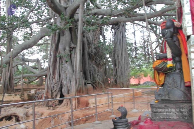 20140906 Photo 1181 1cKayuzHSSkjxZTcD18yO6KfYQEKCfQUB.JPG