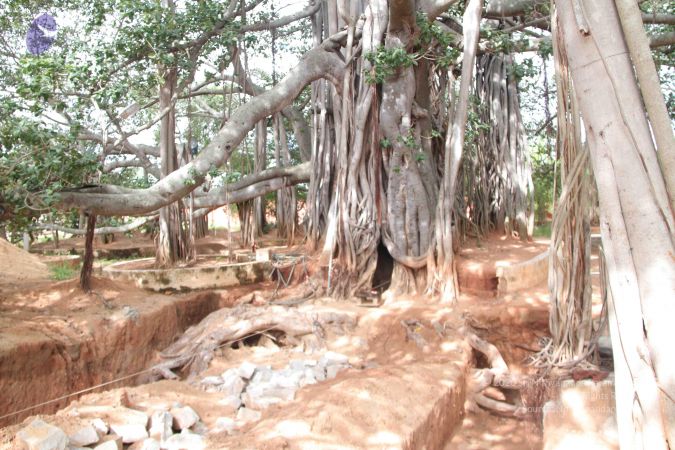 20140906 Photo 1185 1e VyBE3PhP74kbv0k p3V-PcrukfTyT0.JPG