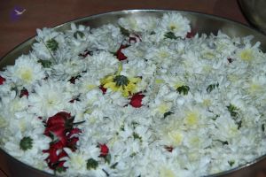 20140906 Photo 1202 1Z6GAcGA-6NQEmOBfTyOL85nipJSrZ9wM.JPG