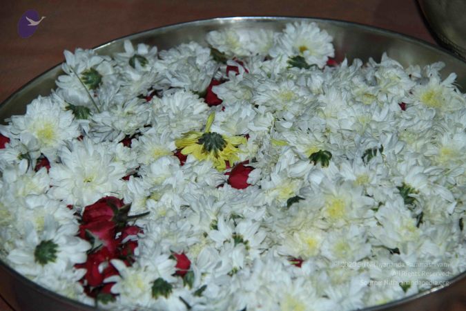 20140906 Photo 1202 1Z6GAcGA-6NQEmOBfTyOL85nipJSrZ9wM.JPG