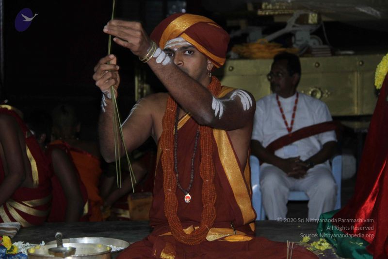 File:20140906 Photo 1203 1wbiMZzrMmFpKEkm0cdBbDSIkgIaPxbxY.JPG