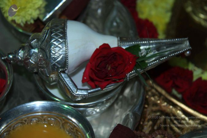 20140907 Photo 1002 1JrymCyIz4k9oRZe8A4BZ8tJBsfle9Ip3.JPG