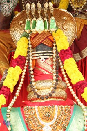 20140907 Photo 1021 1jnX9gw4MD7rEFS ZGMh1LPKmHMQ2lWjU.JPG