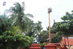 20140907 Photo 1041 1cSthaCyqbpYZBgM99J6AM170-qaZ5BM8.JPG