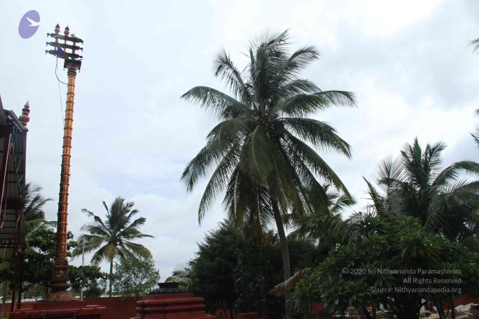 20140907 Photo 1104 1bD6VQLjWofFjbBbxhFEEXp07FXQryjpS.JPG