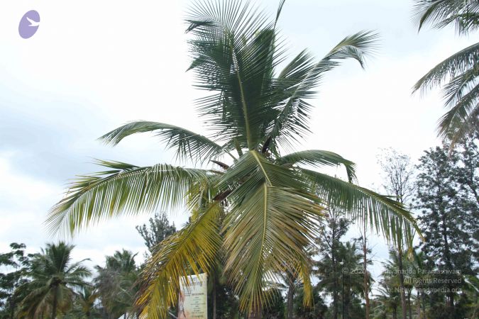 20140907 Photo 1107 1lNXq23xagTHCfWlACbMvMYrUW-r1GJJ8.JPG