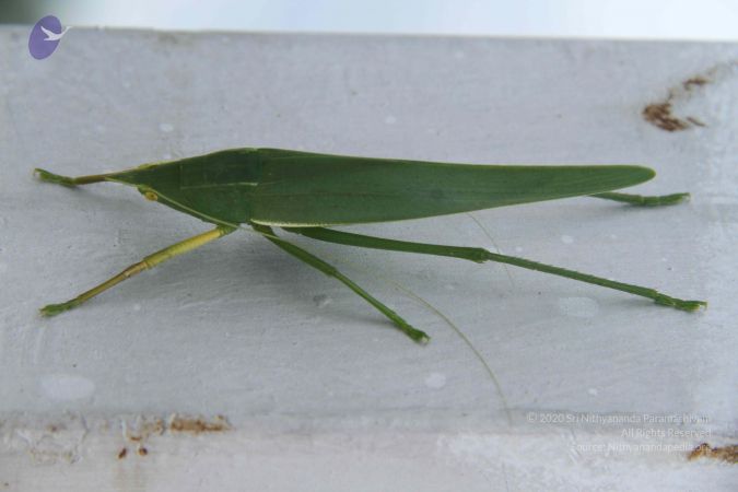 20140907 Photo 1122 1IEtwPyGr7cF14pZND0BgconpRgLgxXJK.JPG