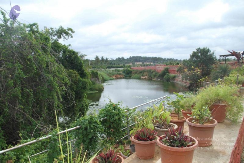 File:20140907 Photo 1128 1 tQLjwLvSyvlRC1KkeSGyDTvz7 19tM3.JPG