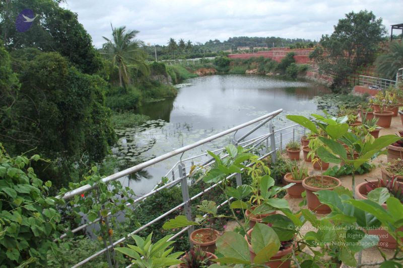 File:20140907 Photo 1130 1M7vWKJya5RmhIG 1259srxgEoXPppPfE.JPG