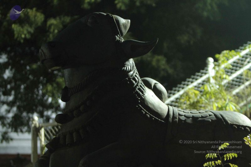 File:20140908 Photo 1031 1eqp-fM3B yypQSFPp q8LtuD0yY Iv90.JPG