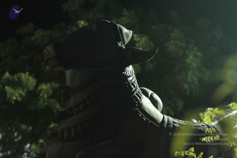 File:20140908 Photo 1032 1148YSaksyybfKQarb45UkPuOw1EE9WE2.JPG