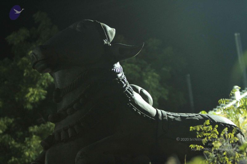 File:20140908 Photo 1033 1jSE6SQXCDSD5YvFLNkcC8cVy3DGPnspu.JPG