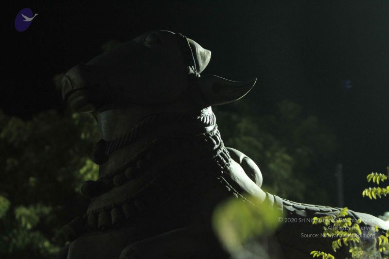 File:20140908 Photo 1034 1jb6PC9uVc5-rsUZAfzq0jU0kSuoQugSS.JPG