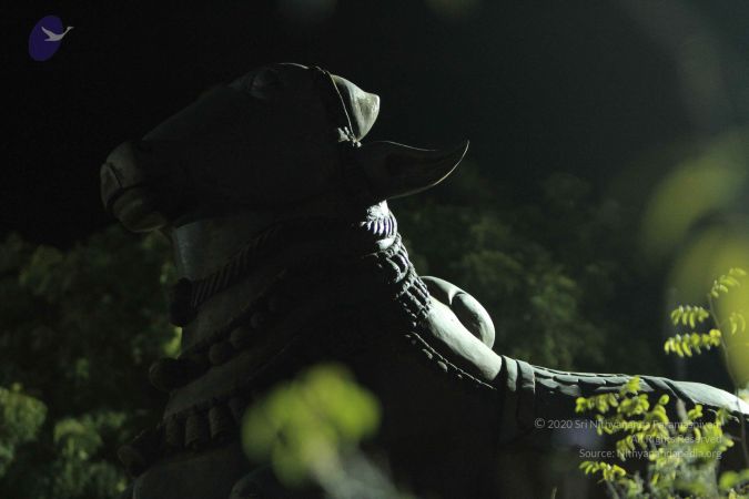 20140908 Photo 1035 1La7GCMlwDf1WUCtD84qxEkueUuYEnZBP.JPG